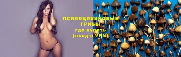 скорость Аркадак
