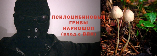скорость Аркадак