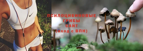 скорость Аркадак