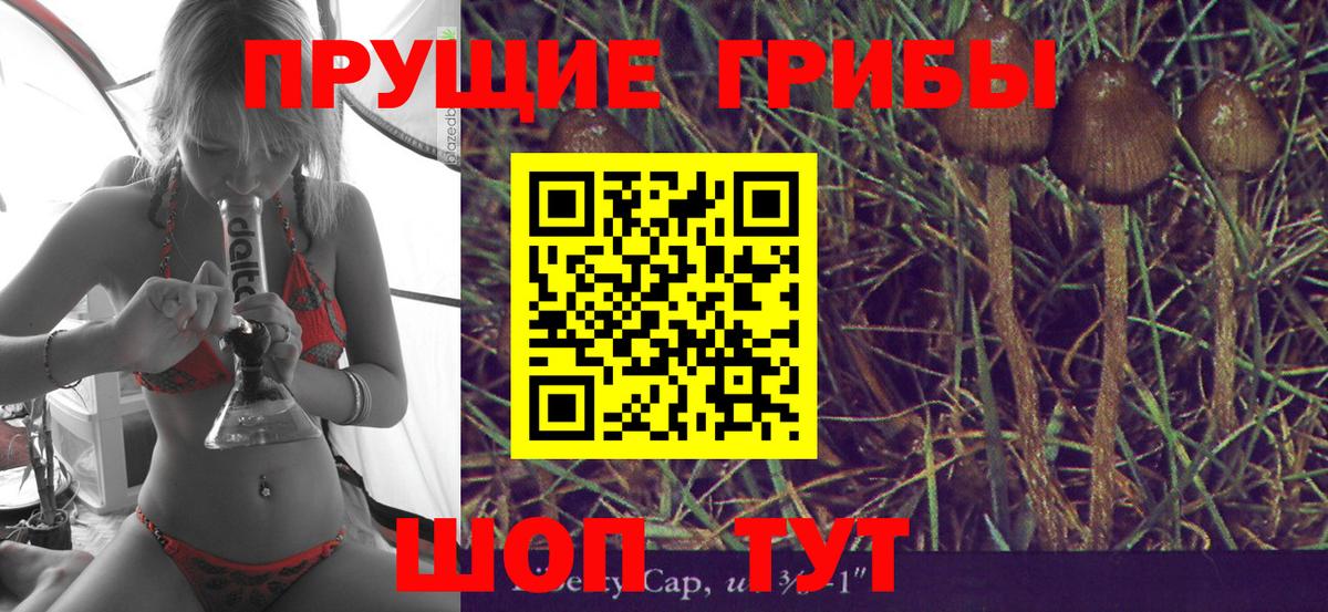 Псилоцибиновые грибы Cubensis  Вход с VPN  Белая Калитва 